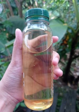 Foto resep Minyak Kelapa