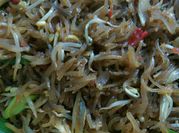 Gambar mie sagu goreng