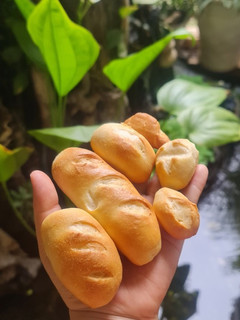 Hình của món Bánh mì Việt Nam.