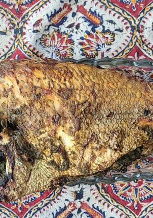 عکسی از دستور ماهی شکم پر
