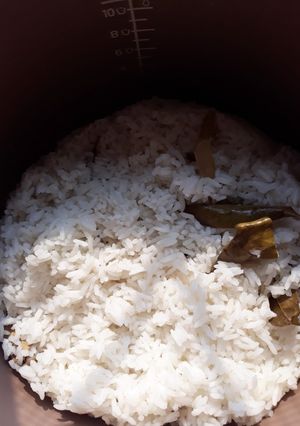 Foto resep Nasi uduk magicom