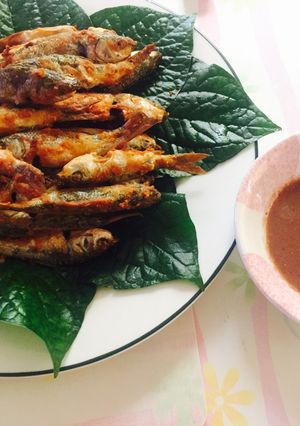 Hình của món Cá linh cuốn lá lốt.