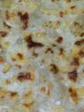 Lasagna sea food