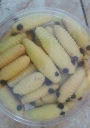 Foto resep Kue kering ulat sagu
