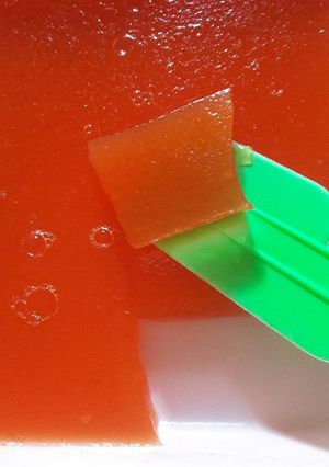 Foto resep Puding buah enak (melancarkan BAB anak)