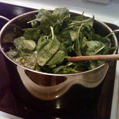 A picture of Wilted Spinach.