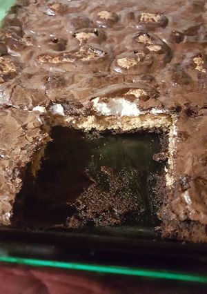 A picture of S'mores Brownie Bars.