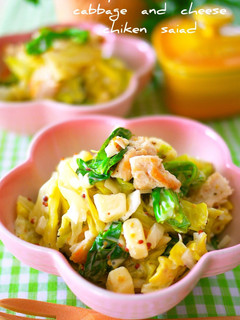 A picture of Mustard Cheese Salad with Spring Cabbage & Chicken,.