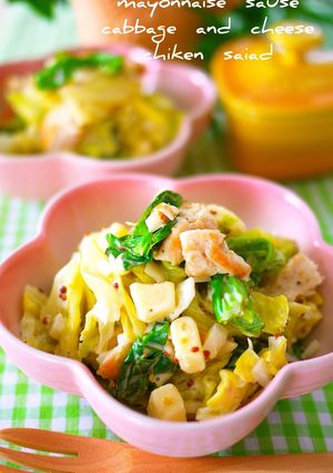 A picture of Mustard Cheese Salad with Spring Cabbage & Chicken,.