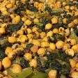 Garbanzos con espinaca