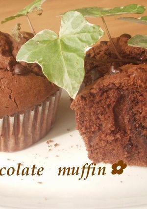 A picture of Chocolate Muffins.