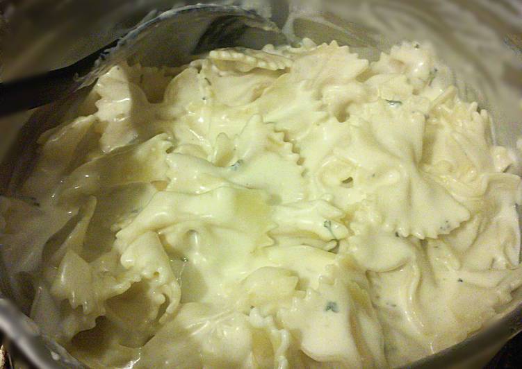 Easiest Way to Prepare Homemade Cream Cheese Alfredo Sauce