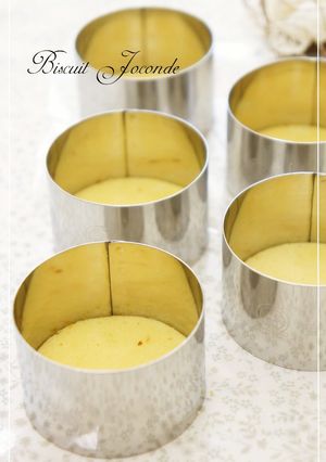 A picture of Biscuit Joconde Spongecake Base for Mousses.