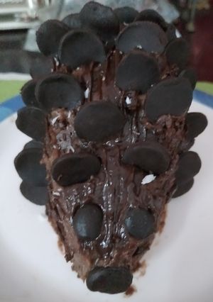 A picture of Dark chocolate Hedgehog cake.