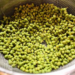 A picture of Preparing and Freezing Sansho Peppercorns.
