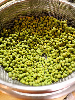 A picture of Preparing and Freezing Sansho Peppercorns.