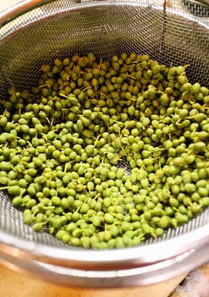 A picture of Preparing and Freezing Sansho Peppercorns.