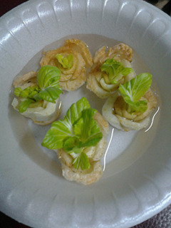 A picture of Bok choy.
