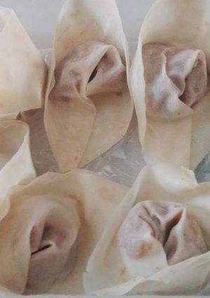 A picture of Chicken wonton.
