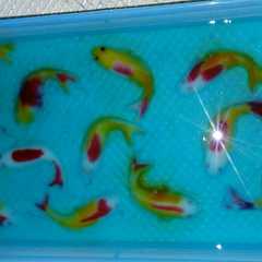 A picture of Puding ikan koi warna warni.