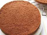 chocolate sponge cake