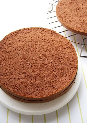 A picture of Light and Moist Chocolate Sponge Cake.