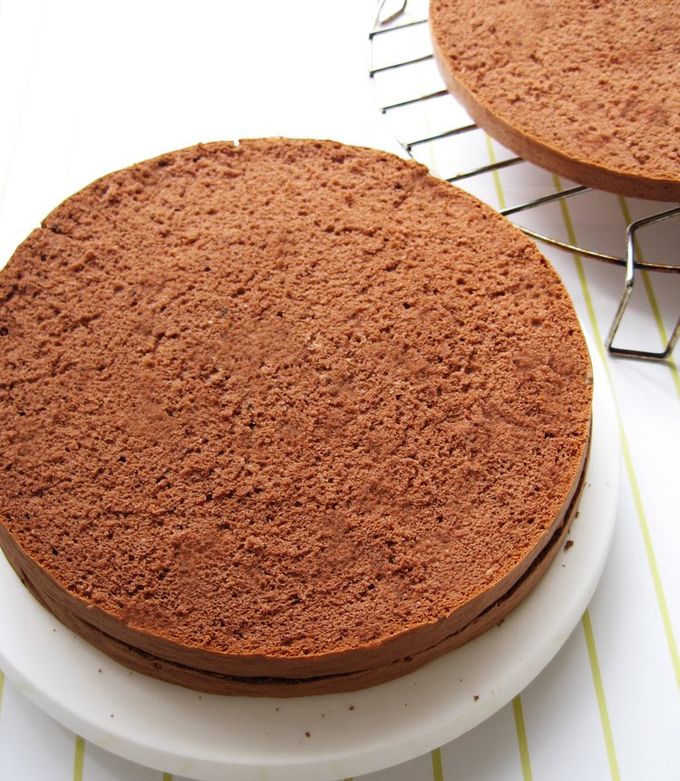 A picture of Light and Moist Chocolate Sponge Cake.