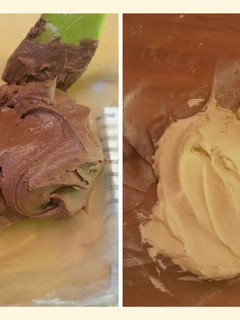 A picture of Robin's Chocolate and Vanilla Icings.