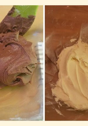 A picture of Robin's Chocolate and Vanilla Icings.