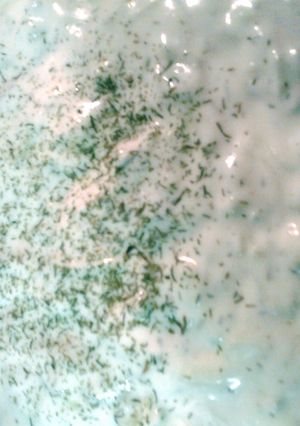 A picture of tzatziki sauce.