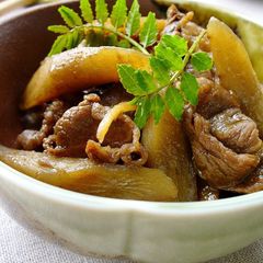 A picture of Beef and Burdock Root.