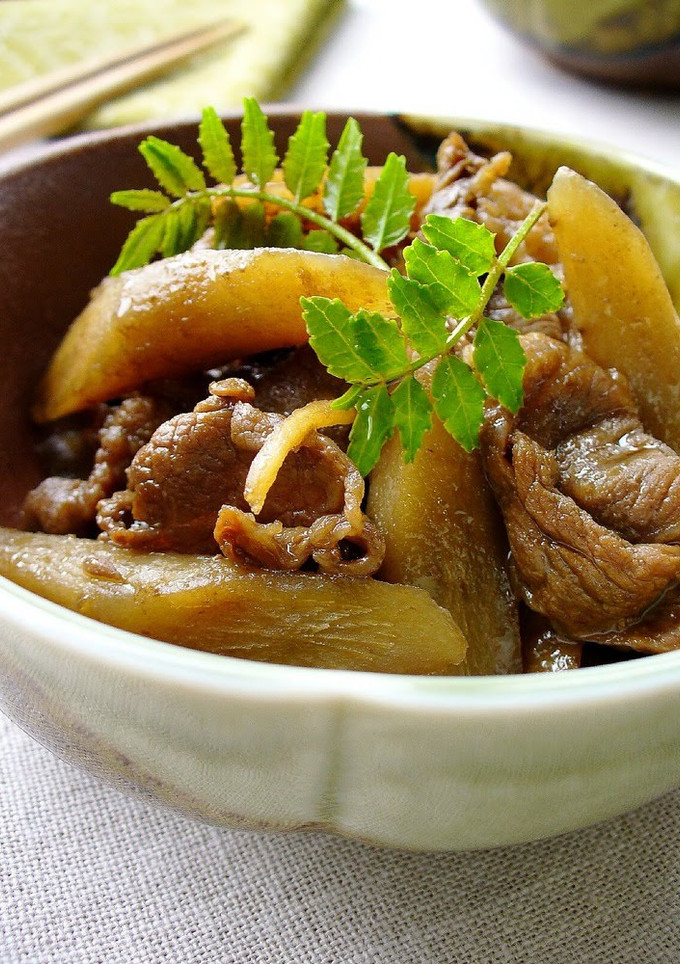 A picture of Beef and Burdock Root.