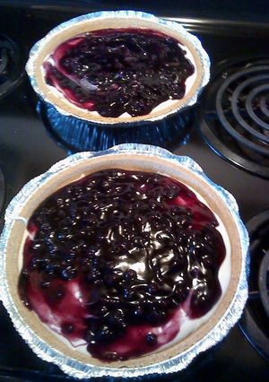 A picture of Blueberry Pie.
