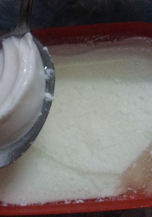 A picture of Home made yoghurt.