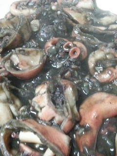Una foto de Pulpo cabezudo en tinta de sepia