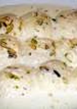 A picture of Ras Malai..