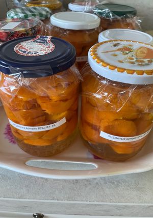 Sárgabarack kompót recept fotója