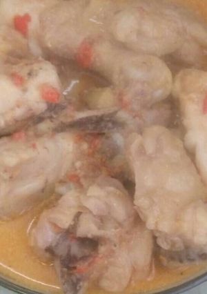 Foto resep Ayam Santan Bumbu Pedas