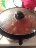 Crockpot Venison Veg Soup