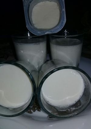 صورة لوصفة الزبادي البيتي
