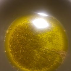 Fennel oil A picture of Fennel oil.