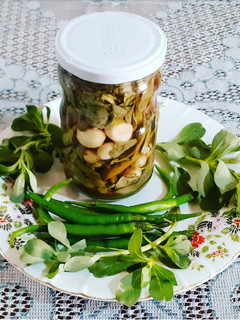 عکسی از دستور ترشی پرپین (خرفه)