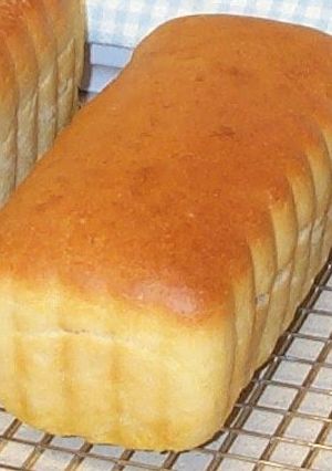A picture of Salt Rising Bread.