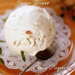 A picture of Marmalade Flavored Frozen Yogurt.