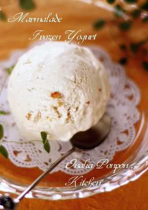 A picture of Marmalade Flavored Frozen Yogurt.