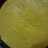 Bika Ambon Ekonomis #enakanbikinsendiri