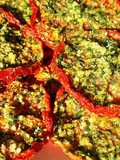 Tomato Chips