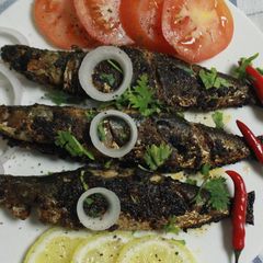 A picture of Sardine Fish Fry.