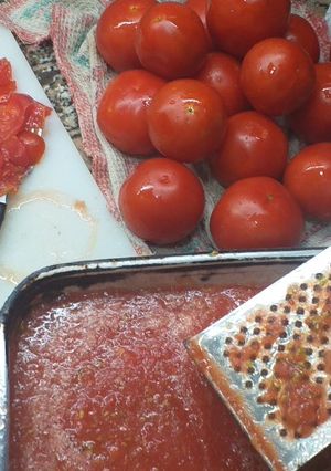 Una foto de Tomate rallado para hacer salsas