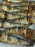 Sardinha grelhada